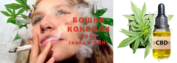 твердый Корсаков