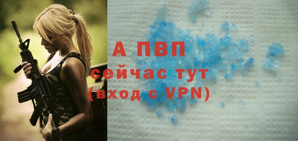 твердый Корсаков