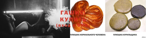твердый Корсаков