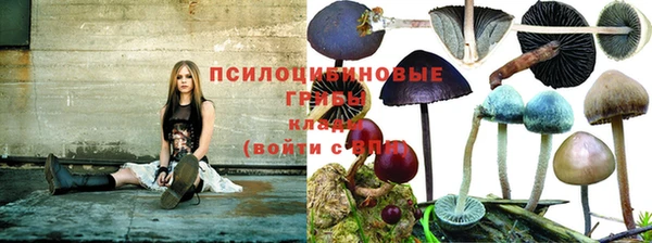 твердый Корсаков