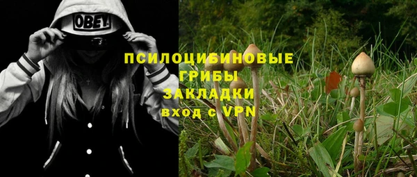 прущая мука Коряжма