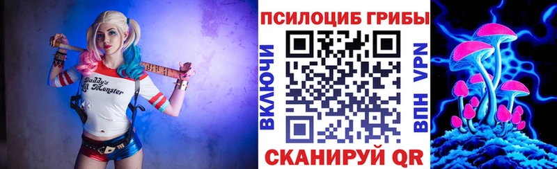 Галлюциногенные грибы MAGIC MUSHROOMS  Купить закладки  Подольск 